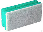 Edi Clean Schwamm Profi 10 Stück, Grün/Weiss